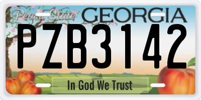 GA license plate PZB3142