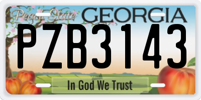 GA license plate PZB3143
