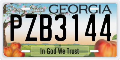 GA license plate PZB3144