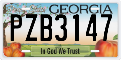 GA license plate PZB3147
