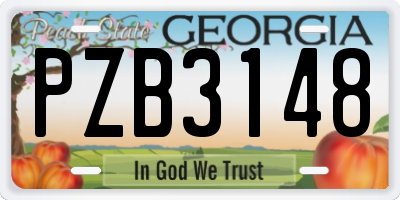 GA license plate PZB3148