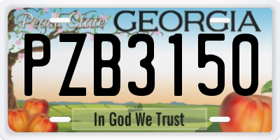 GA license plate PZB3150