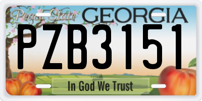 GA license plate PZB3151