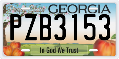 GA license plate PZB3153
