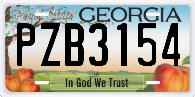 GA license plate PZB3154