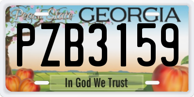 GA license plate PZB3159