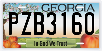 GA license plate PZB3160