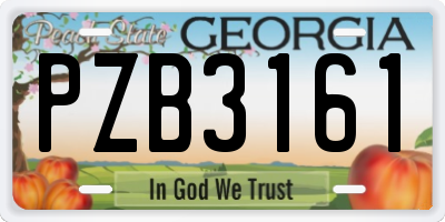 GA license plate PZB3161