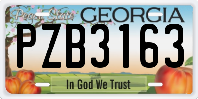 GA license plate PZB3163