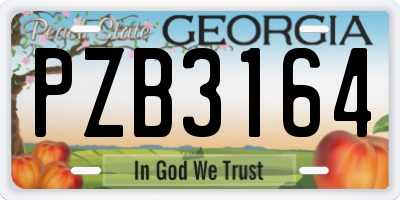 GA license plate PZB3164