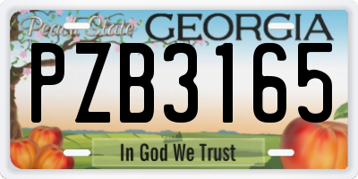 GA license plate PZB3165