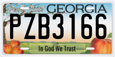 GA license plate PZB3166