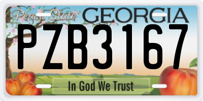 GA license plate PZB3167