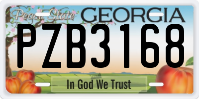 GA license plate PZB3168