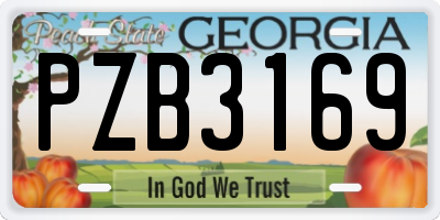 GA license plate PZB3169
