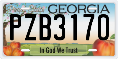 GA license plate PZB3170