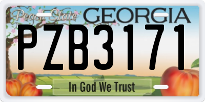 GA license plate PZB3171