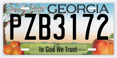 GA license plate PZB3172