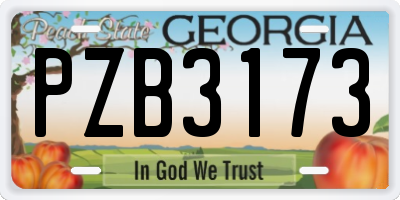 GA license plate PZB3173