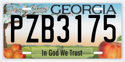 GA license plate PZB3175