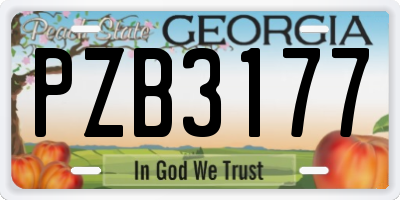 GA license plate PZB3177