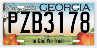 GA license plate PZB3178