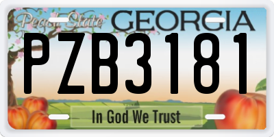 GA license plate PZB3181