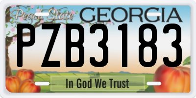 GA license plate PZB3183