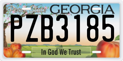 GA license plate PZB3185