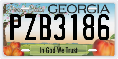 GA license plate PZB3186