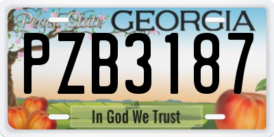 GA license plate PZB3187