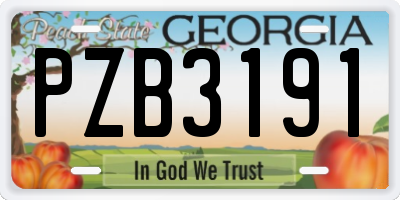 GA license plate PZB3191