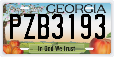 GA license plate PZB3193