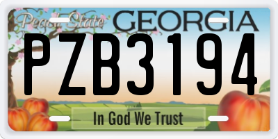 GA license plate PZB3194