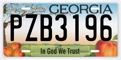 GA license plate PZB3196