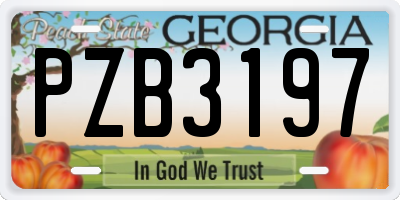 GA license plate PZB3197