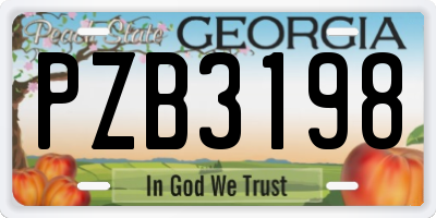 GA license plate PZB3198