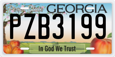 GA license plate PZB3199