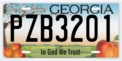 GA license plate PZB3201