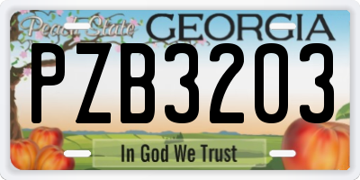 GA license plate PZB3203