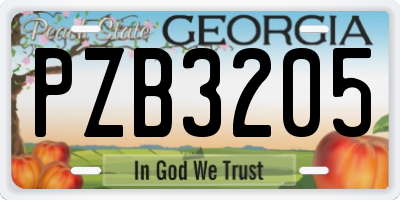 GA license plate PZB3205