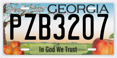 GA license plate PZB3207