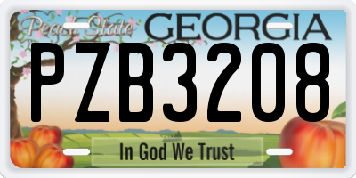 GA license plate PZB3208