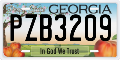 GA license plate PZB3209