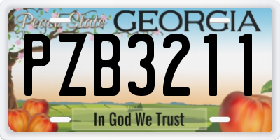 GA license plate PZB3211