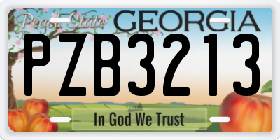 GA license plate PZB3213