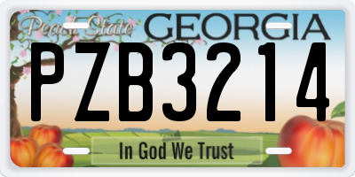 GA license plate PZB3214
