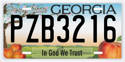 GA license plate PZB3216