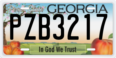 GA license plate PZB3217