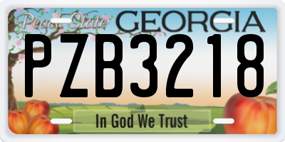 GA license plate PZB3218